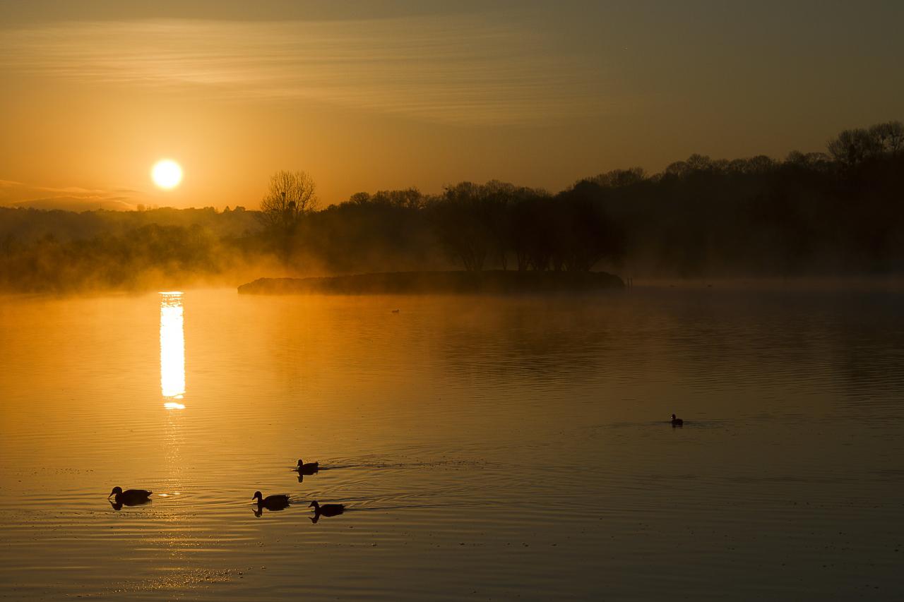 Lueurs matinales