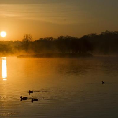 Lueurs matinales