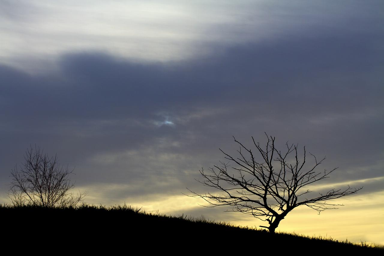 Lumière d'hiver