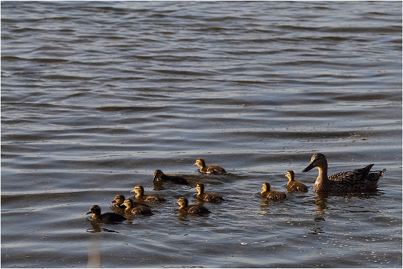 sortie en famille