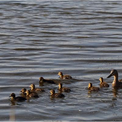 sortie en famille