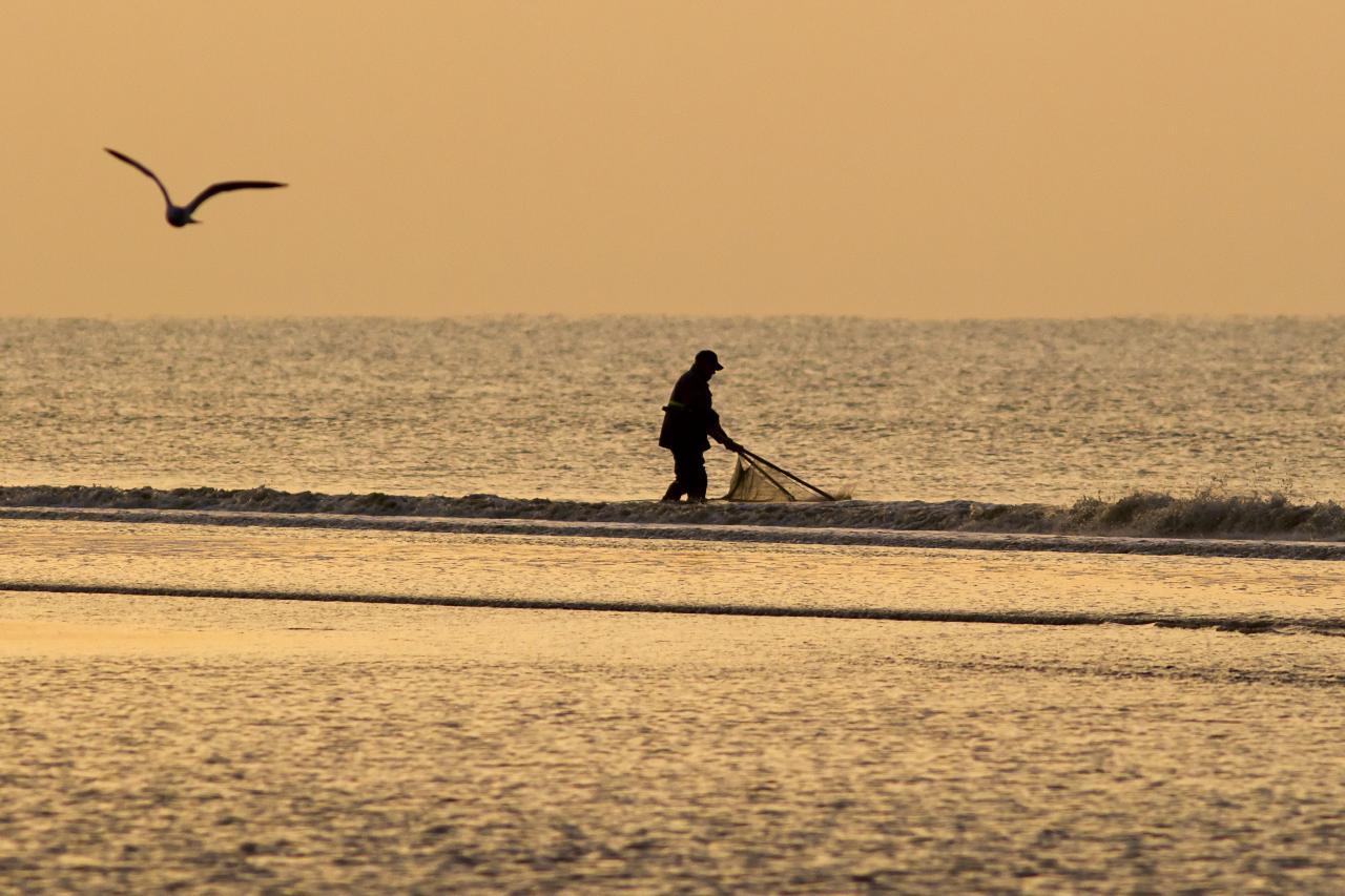 La pêche au haveneau