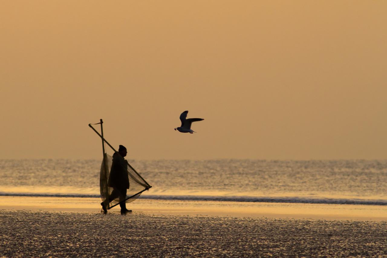 le pêcheur et la mouette