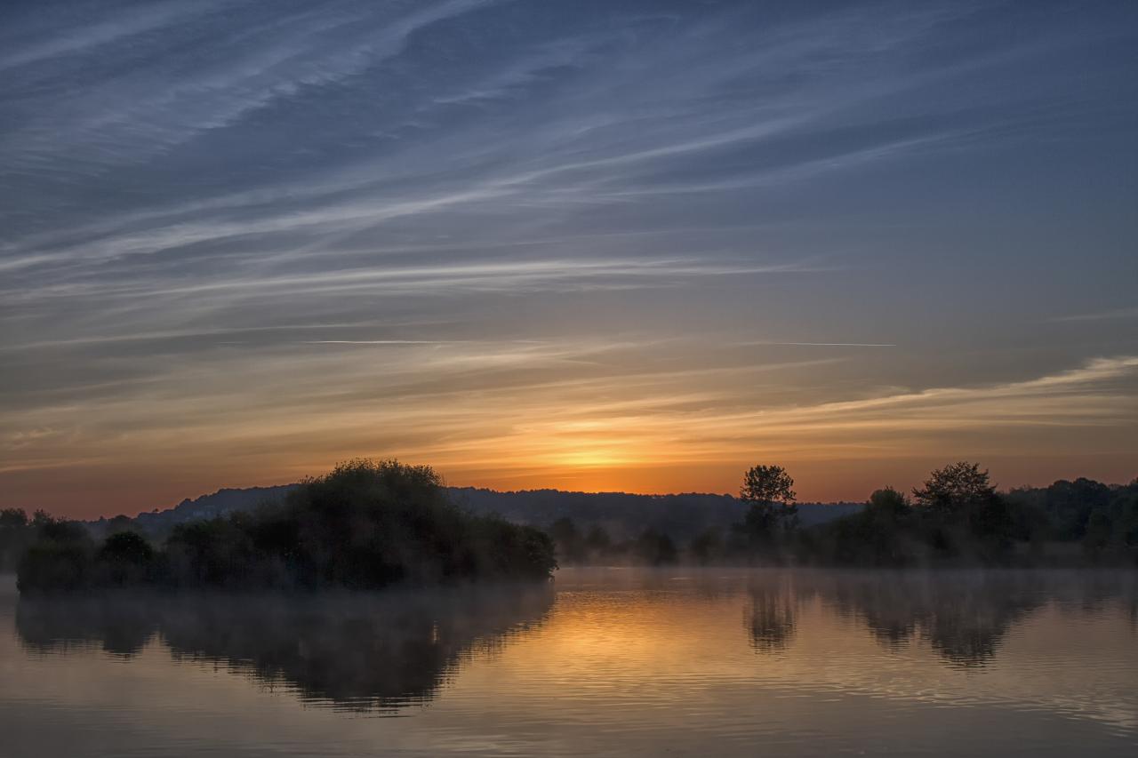 Un matin au marais