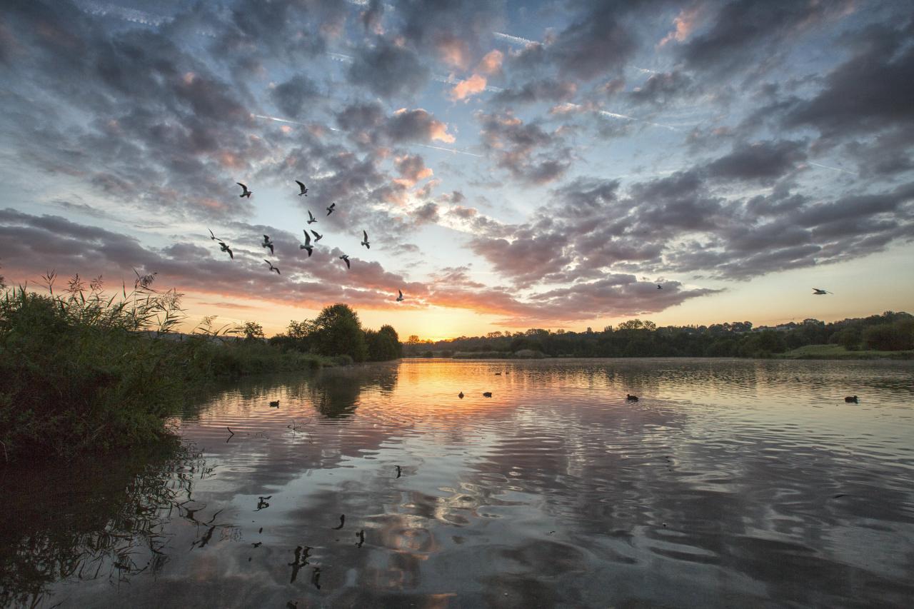 Le miroir du lac