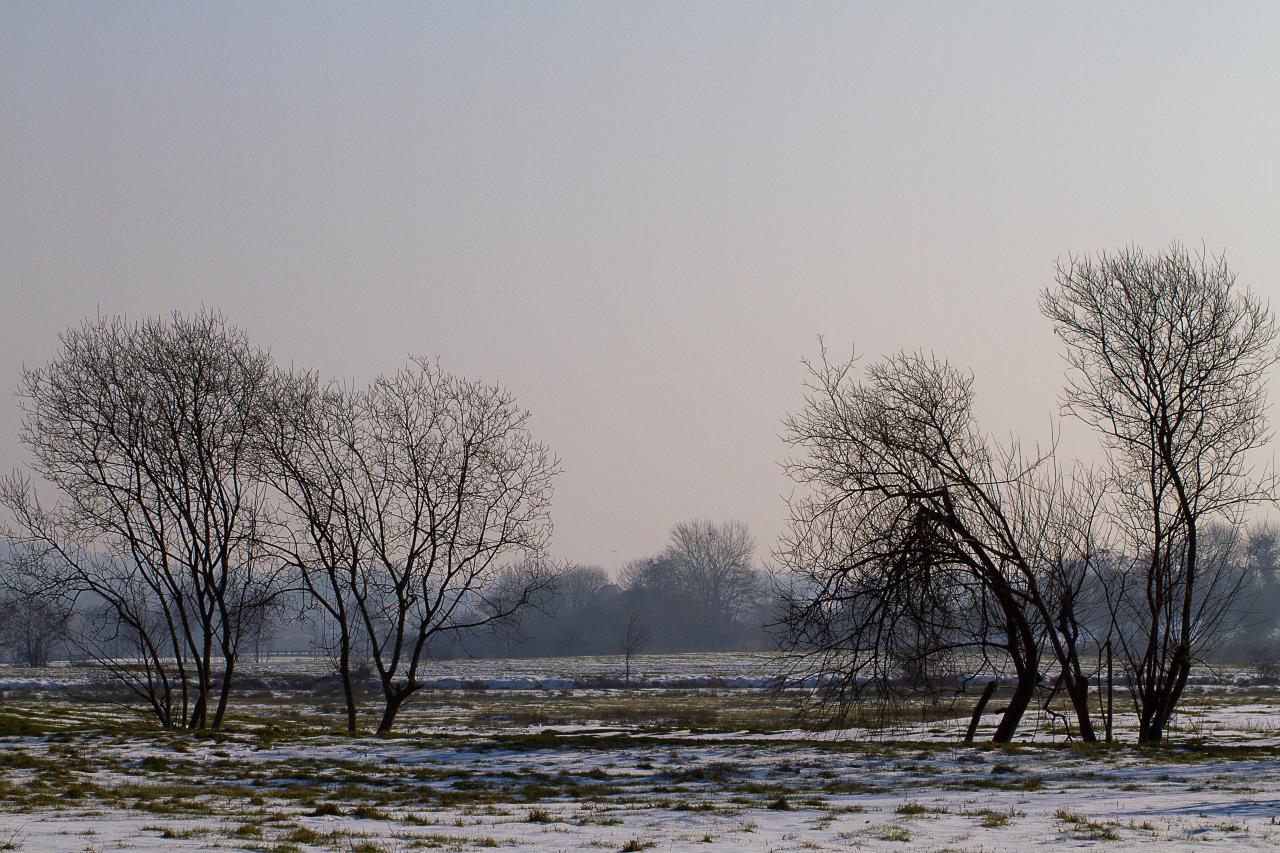 Sous la neige