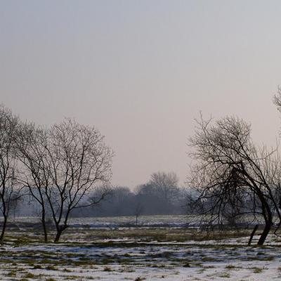 Sous la neige