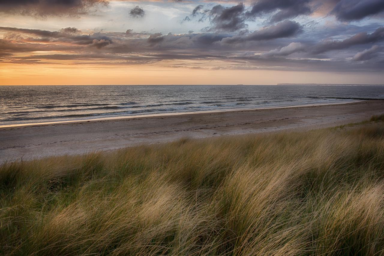 Balade dans les dunes