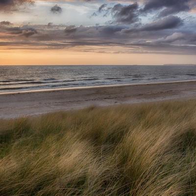 Balade dans les dunes