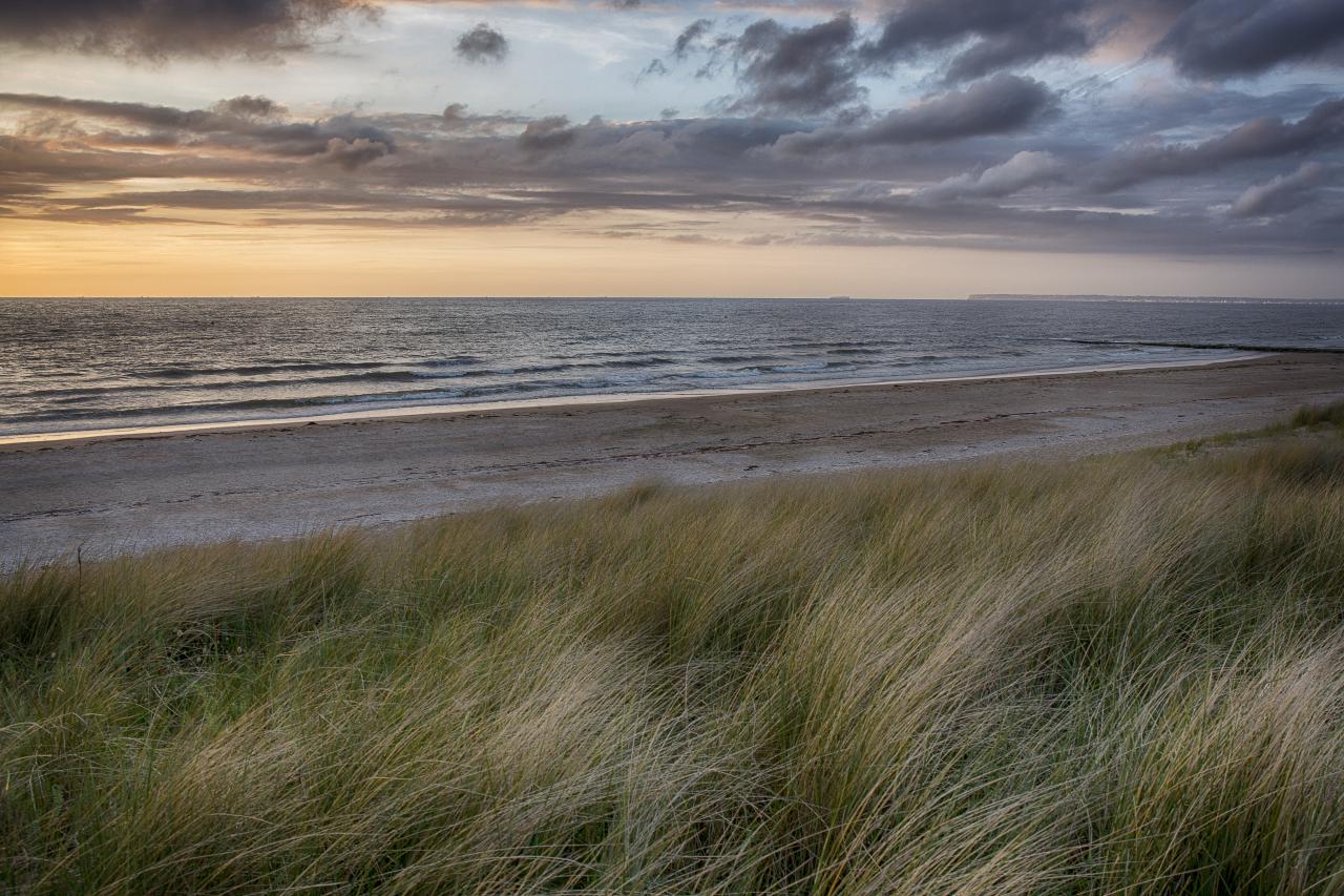 Les dunes de Blonville