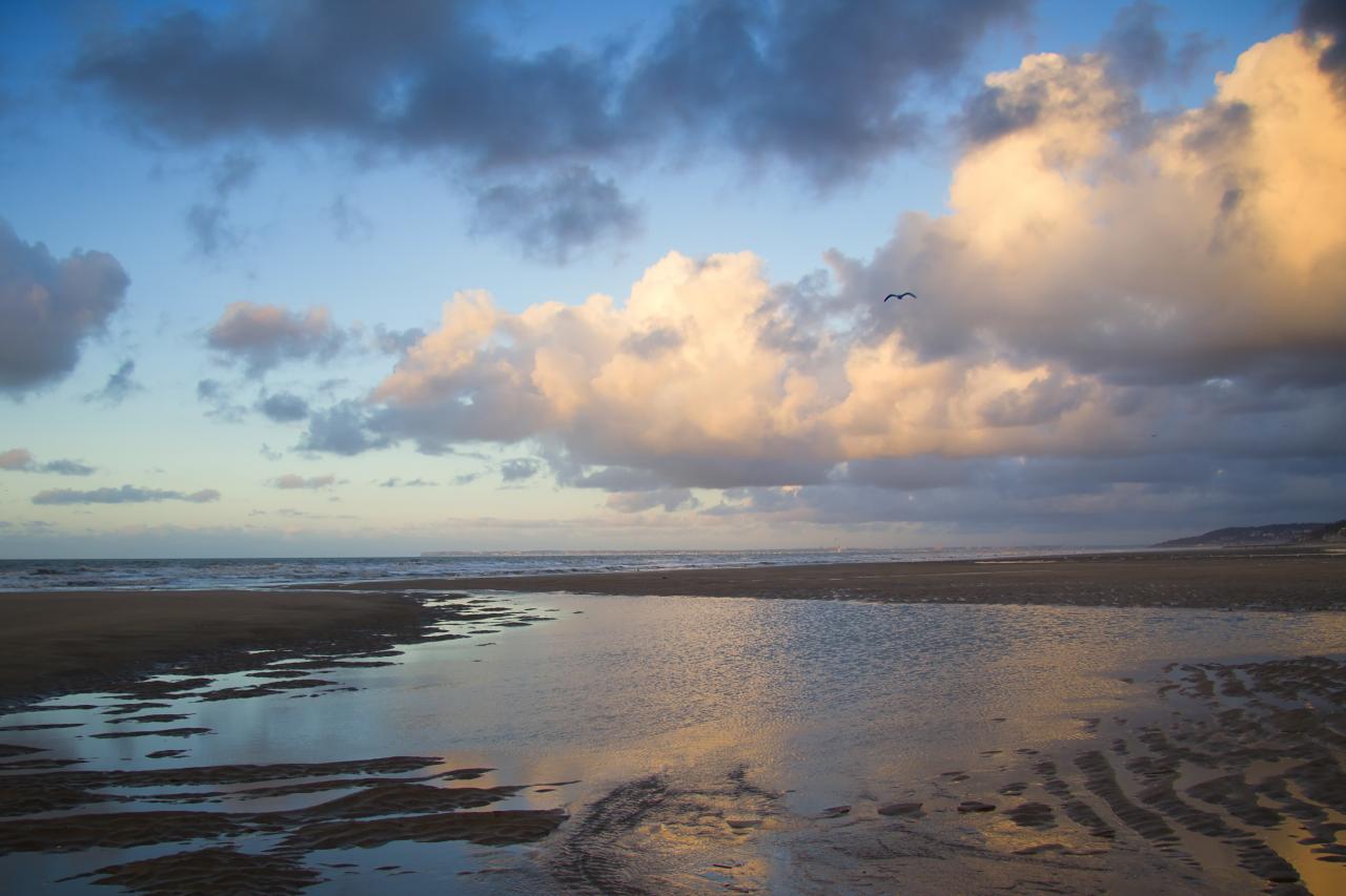 Je confie mes traces aux nuages