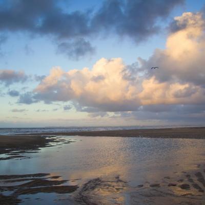 Je confie mes traces aux nuages